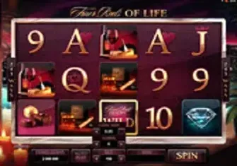 Игровой автомат The Finer Reels of Life Игровой автомат The Finer Reels of Life