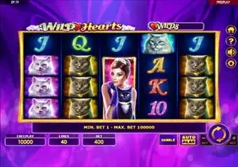 Игровой автомат Wild Hearts Игровой автомат Wild Hearts