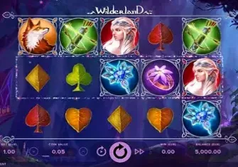 Игровой автомат Wilderland Игровой автомат Wilderland