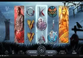 Игровой автомат Vikings Игровой автомат Vikings